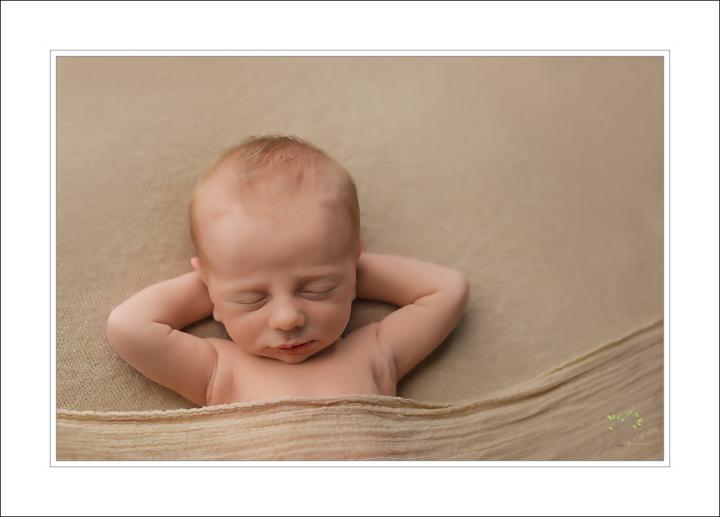 Best Seattle baby photography